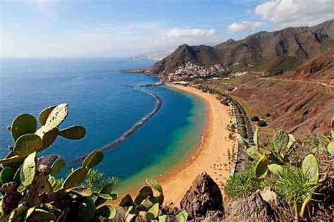 acojeje|Acojeja in Canary Islands